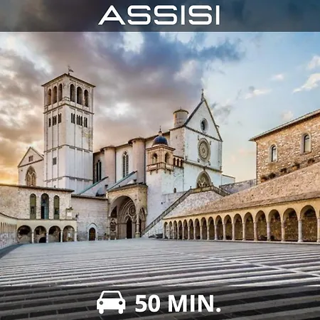 Sunflowercasa * Acquasparta